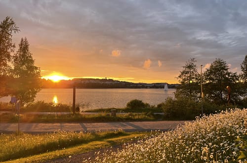 Kuva Jyväsjärven rannasta kesältä 2025 päivänkakkaraniityn ääreltä hetkeltä juuri ennen auringonlaskua. Kuva: Inna Lisko.