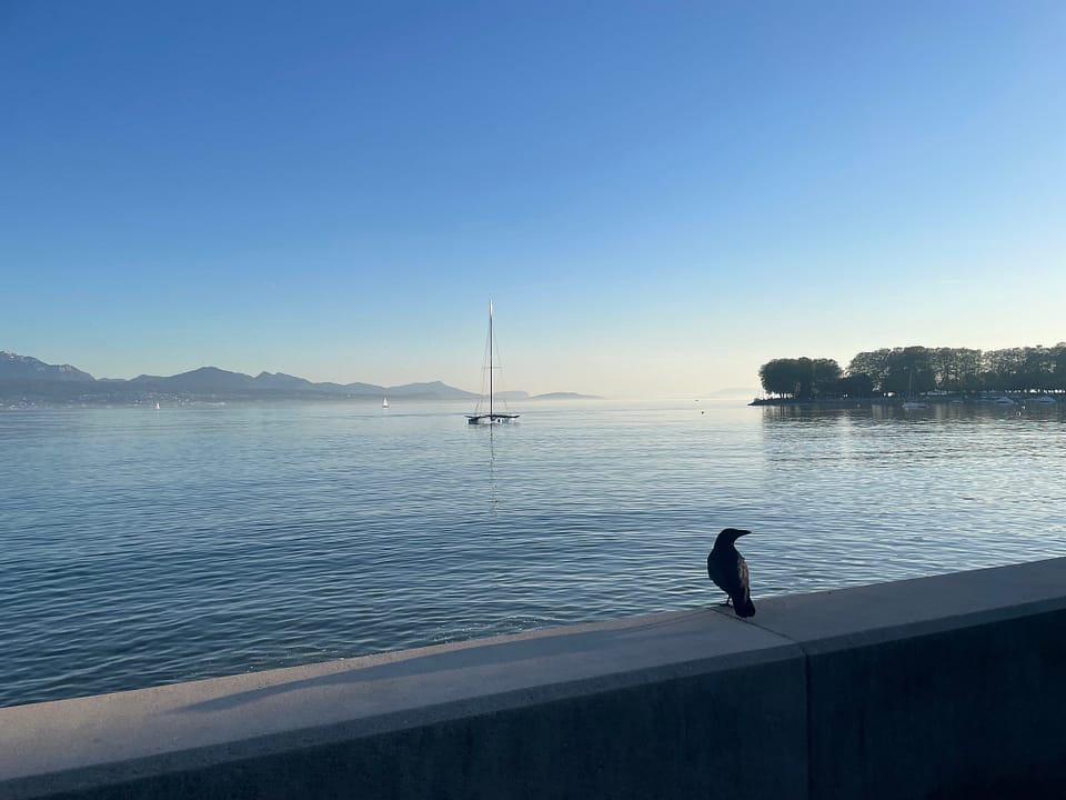 Sininen näkymä Geneve-järvelle. Etuoikealla alhaalla varis istuu betoniaidalla ja katsoo oikealle. Edessä melko keskellä hyvän matkan päässä näkyy kevytrakenteinen purjevene mastoineen ja kaukana vuoret hennon usvan takana päivän kääntyessä iltaan.